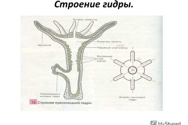 Кракен сайт ссылка