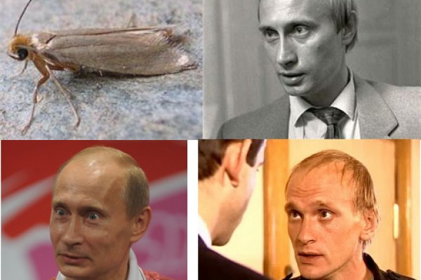 Кракен зеркало на сегодня